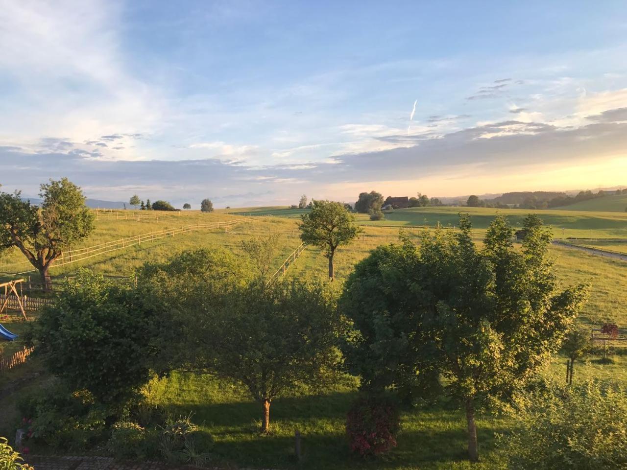 Allgaeu Meadow Ranch Hergatz Екстериор снимка